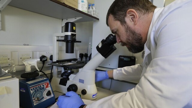 Tieto laboratóriá môžu získať eurofondy na zvládnutie situácie