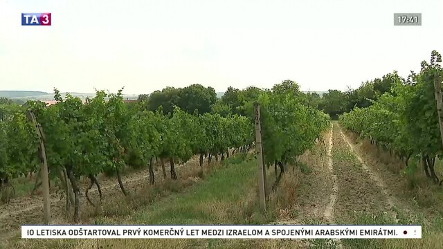 Nepoznané Slovensko: Pezinok a Svätý Jur