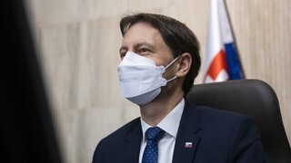 Heger už čoskoro navštívi Česko, stretne sa aj so Zemanom