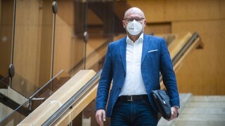 Matovič je problém premiéra, tvrdí Sulík. Hlas má iné riešenie