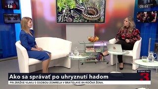 ranajky_186.jpg