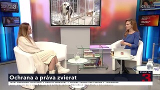 Práva a ochrana zvierat. Ako ich na Slovensku chránime?