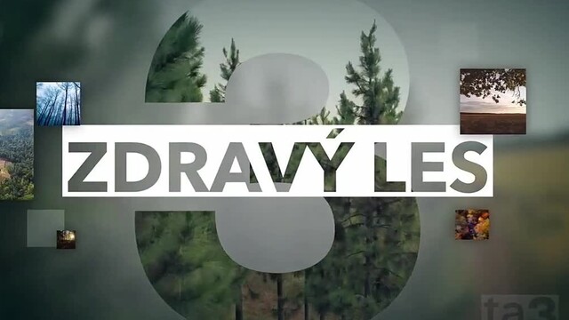 Zdravý les z 15. novembra