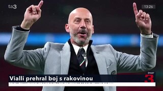 vialli.jpg