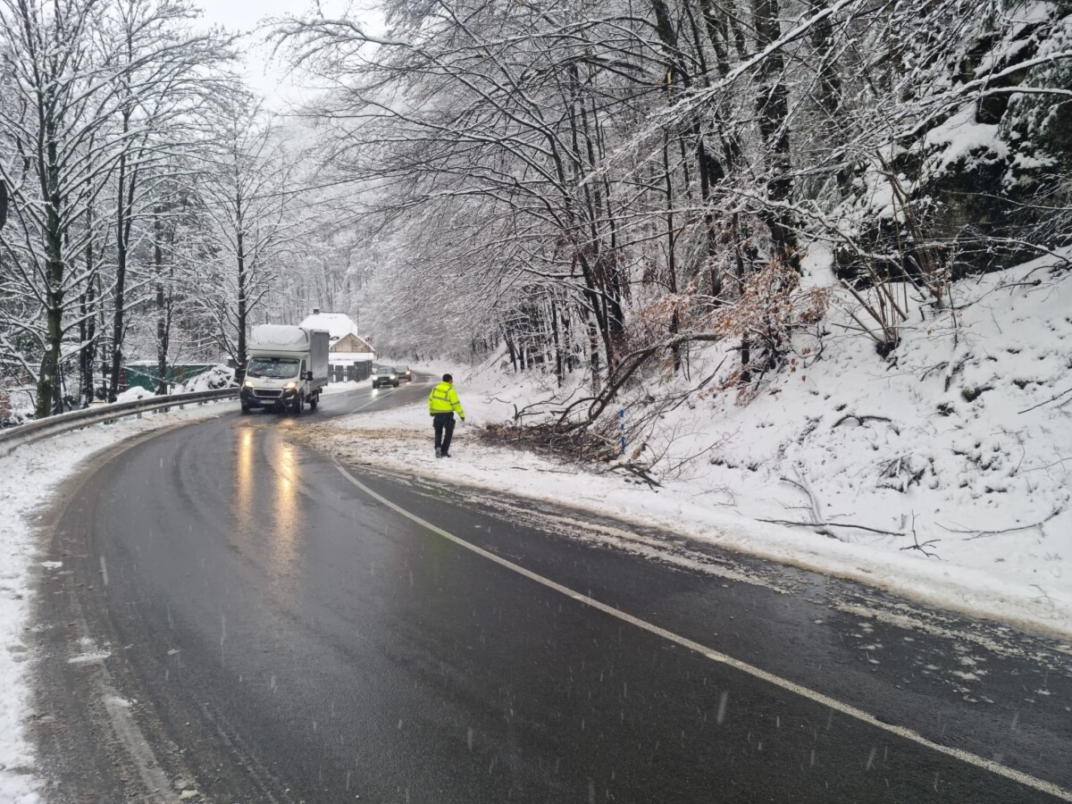 Stredné Slovensko