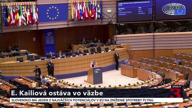 ep_kailiova_vazba.jpg