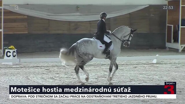 koneesutaz_1.jpg