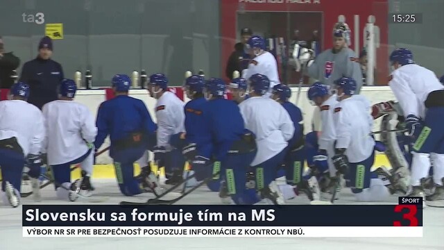 hokej_25.jpg