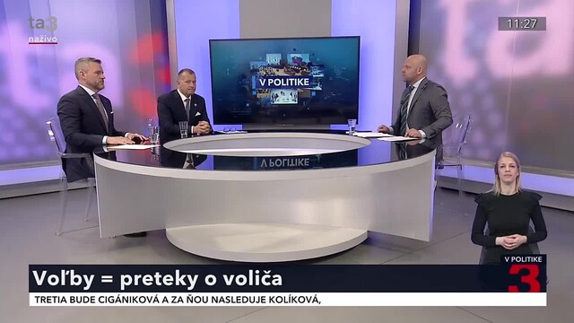 v_politike_100.jpg