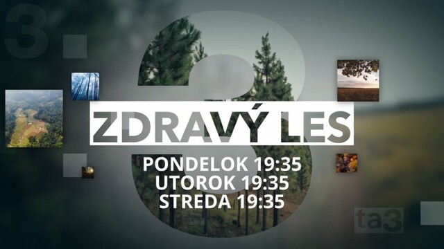 Zdravý les z 24. mája