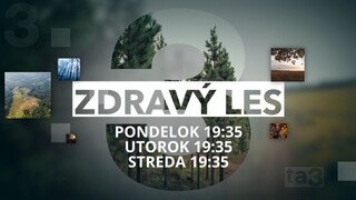 Zdravý les z 24. mája