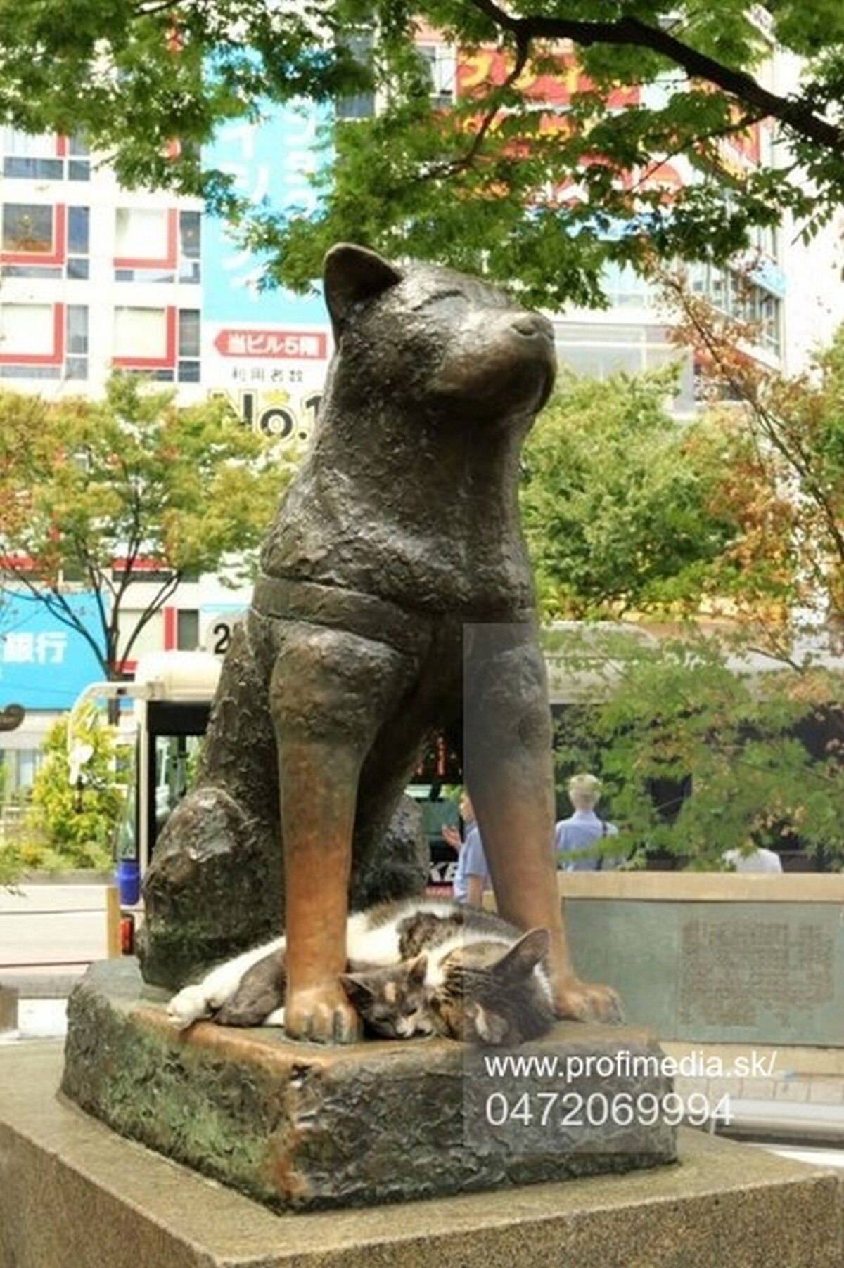 Socha Hachiko