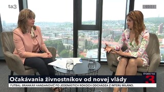 Očakávania živnostníkov od novej vlády