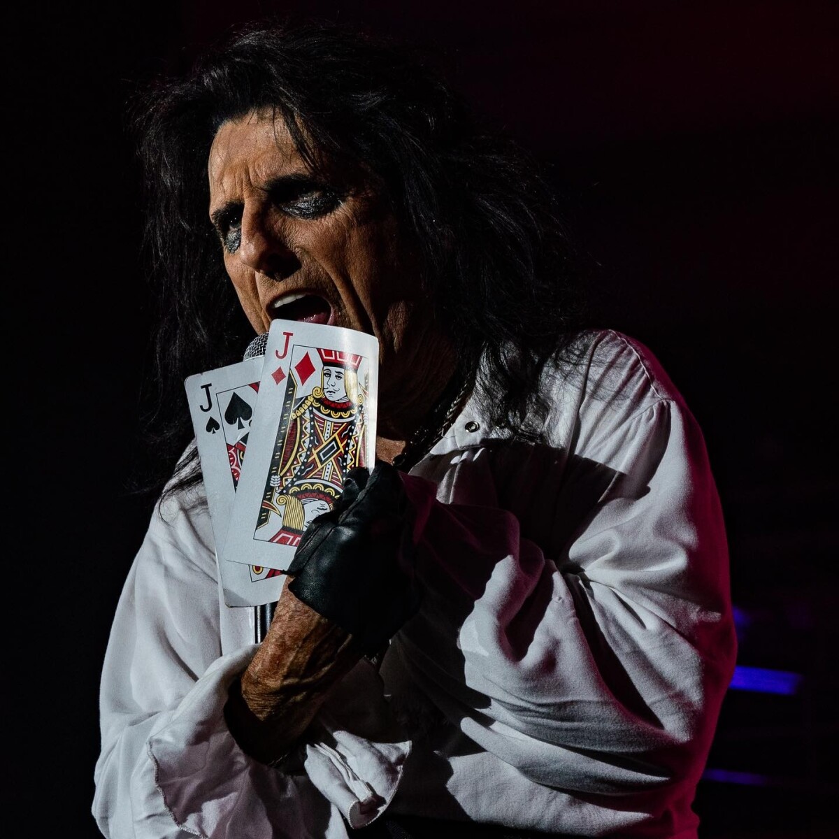 Hollywood Vampires - Alice Cooper