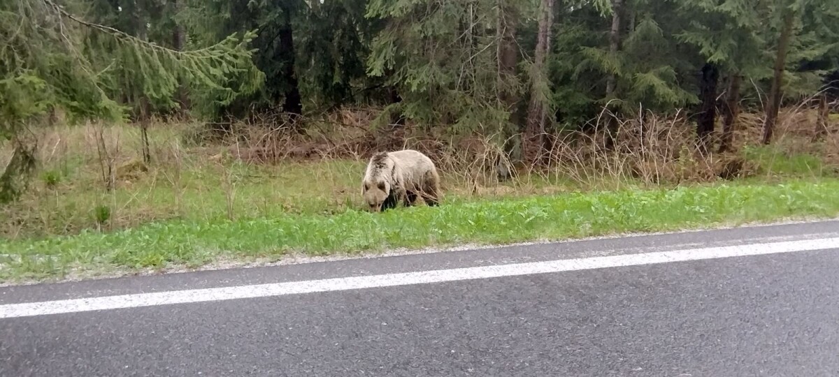 Nový Smokovec