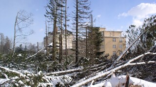 Stromy sa lámali a padali na zem. Víchrica, ktorá zasiahla Tatry, patrila k najväčším veterným kalamitám