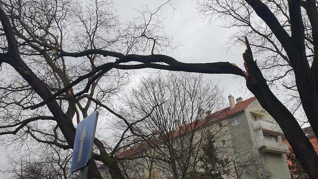 Spadnuté stromy na Kvačalovej a Koceľovej ulici