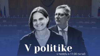 V politike avízo (web 169).png
