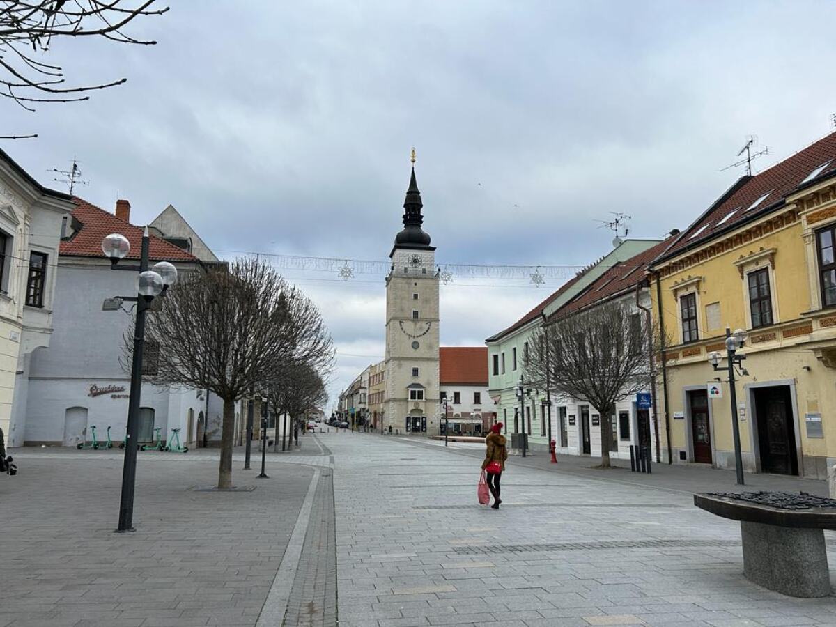 Parkovanie v Trnave - referendum