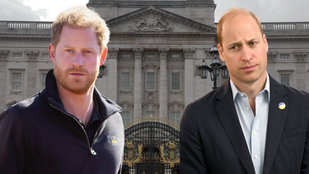 Princovia Harry a William