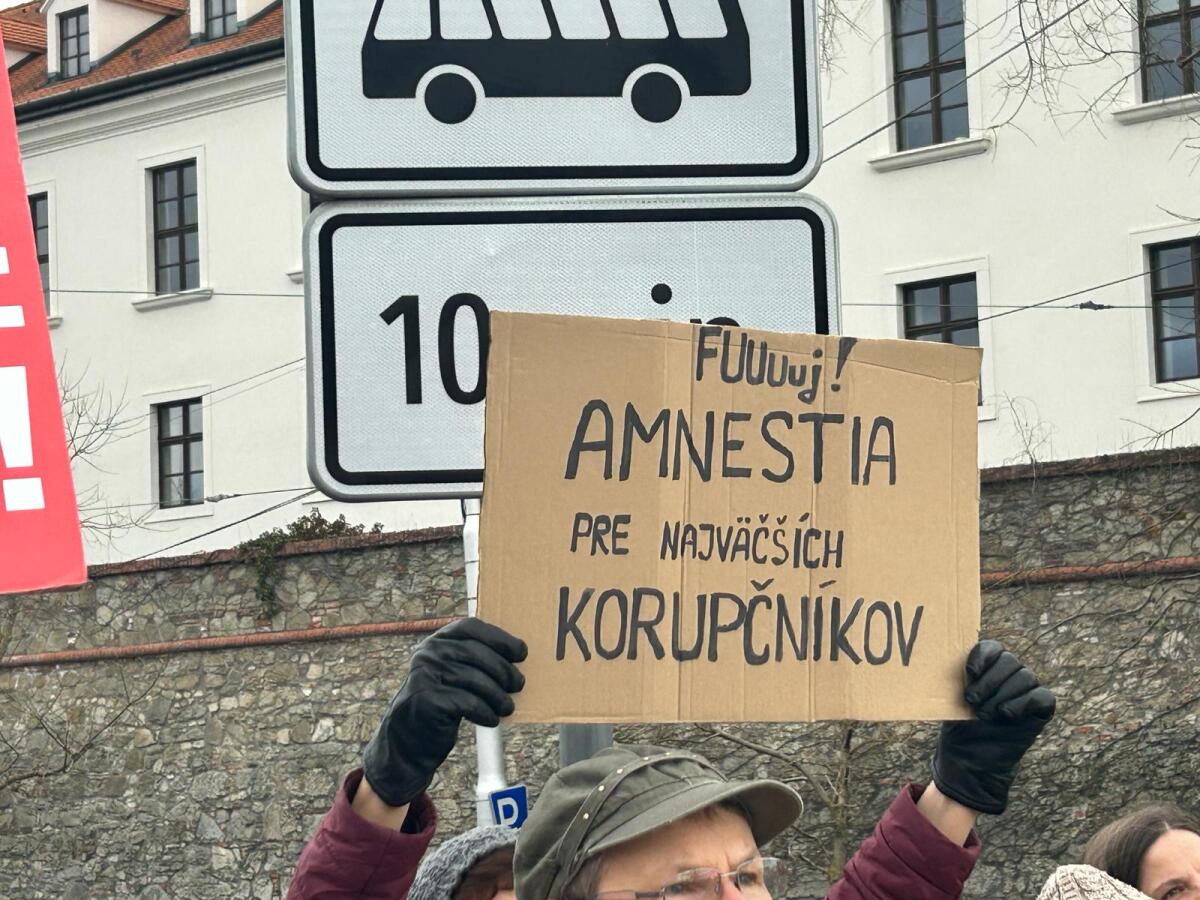 protest parlament novela