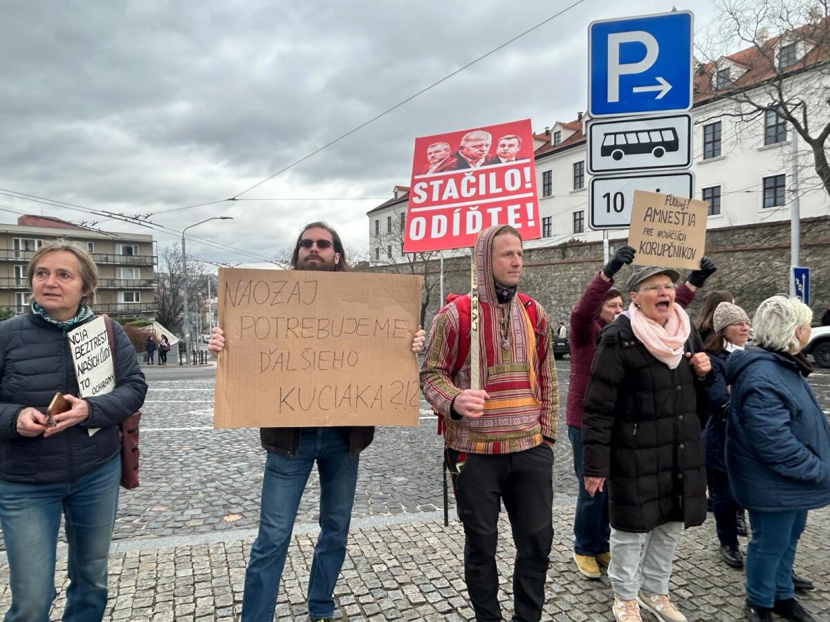 protest parlament novela