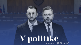 V politike avízo (web 169) (3).png
