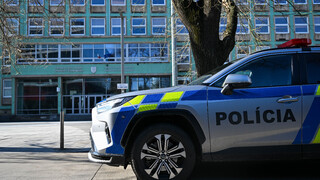 Policajný zbor hodnotí eurovoľby ako bezproblémové. V pohotovosti bolo asi 5-tisíc policajtov