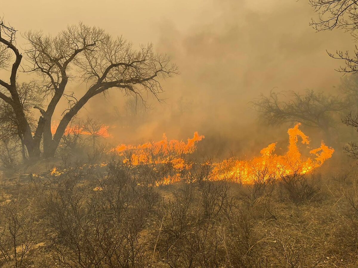 Texas_Wildfires119389.jpg