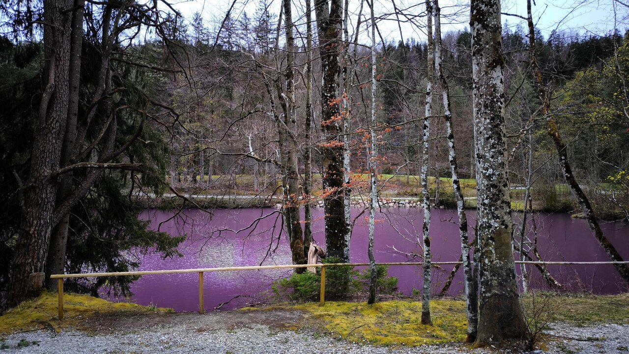 fialové jazero Allgäu v Nemecku