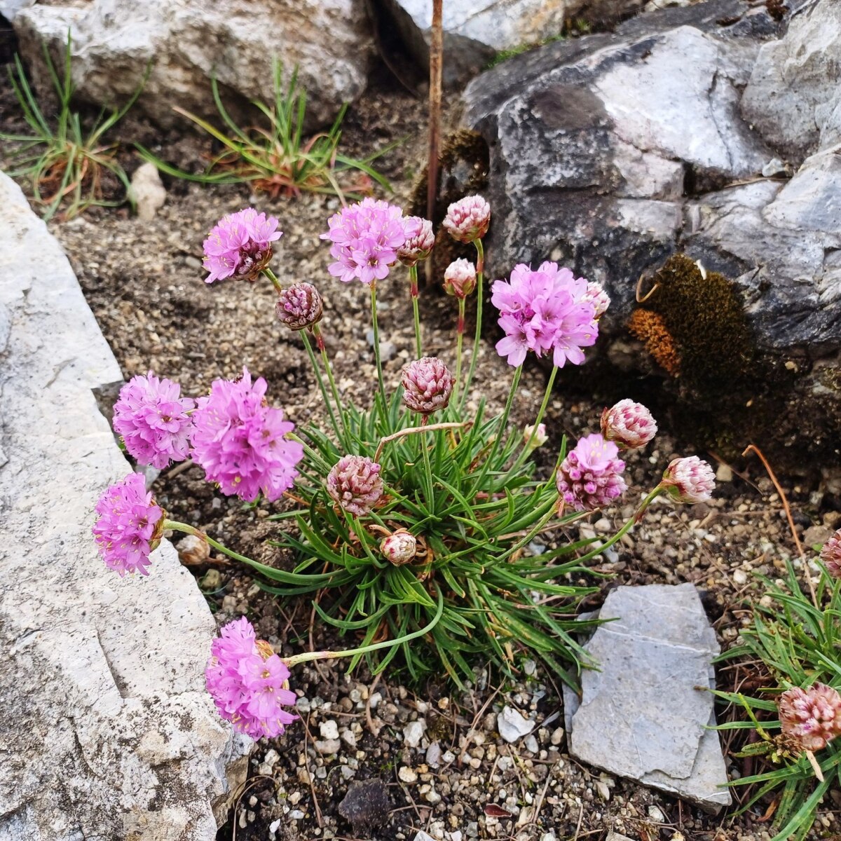 Otvorenie botanickej záhrady