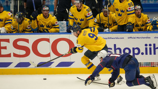 Czech_Republic_Ice_Hockey_Worlds320122041491.jpg