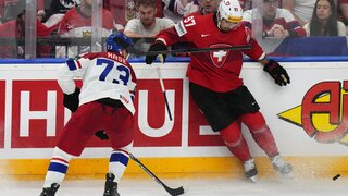 Czech_Republic_Ice_Hockey_Worlds327269.jpg