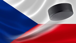 puk česko