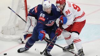 Czech_Republic_Ice_Hockey_Worlds339806.jpg