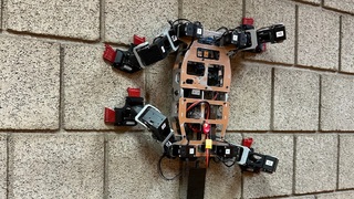 Robot inšpirovaný prírodou dokáže liezť po drsných stenách