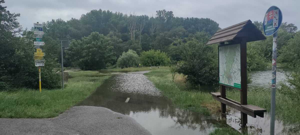 Zaplavený Devín.