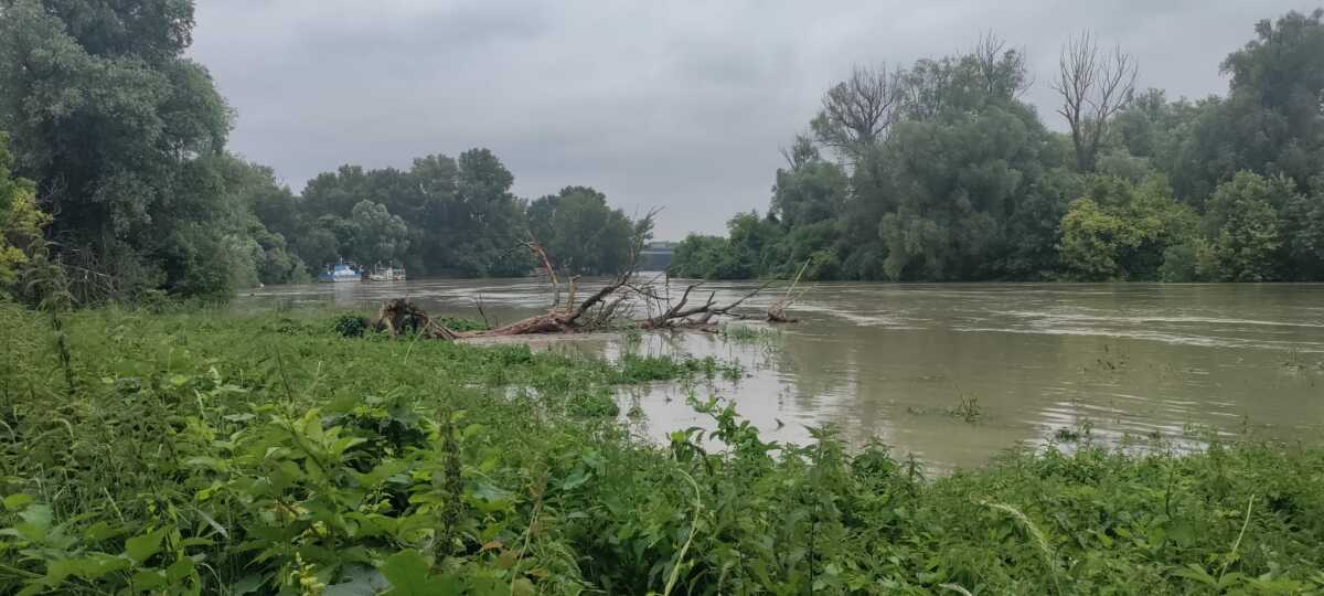 Karlova Ves, rameno Dunaja