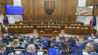 Parlament prelomil veto prezidentky a schválil zmeny v FPU. Parlamentom prešli aj ďalšie zákony