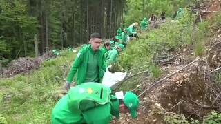 V Nízkych Tatrách zaznamenali dva slovenské rekordy. Súvisia so sadením stromčekov