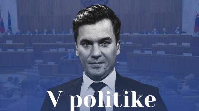 v-politike-brano-kral.png