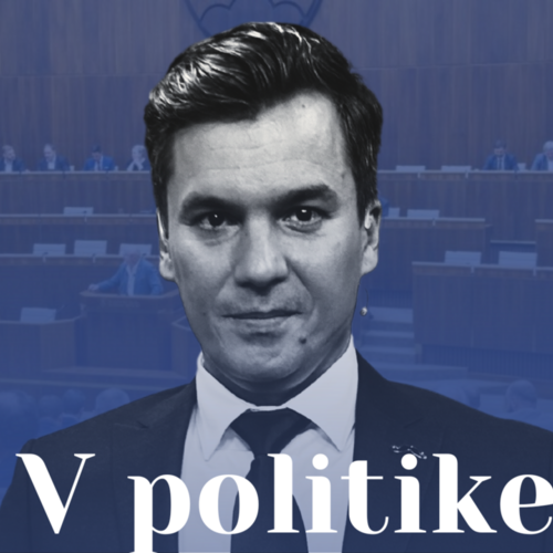 v-politike-brano-kral.png