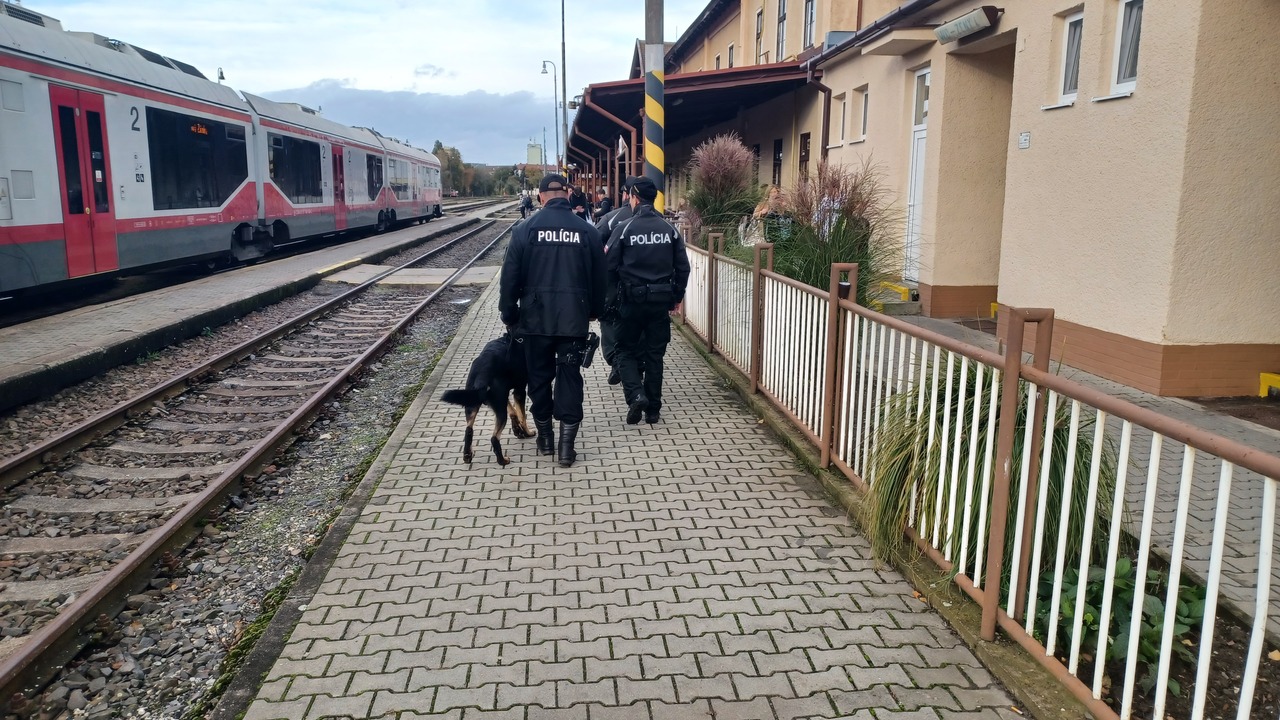 polícia vlak pes železnice stanica 