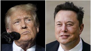 trump musk