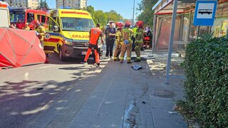 Zrazil ženu na priechode, potom vošiel autom na autobusovú zastávku. Nehoda si vyžiadala obete a zranených 