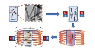 Nanočastice by mohli zmeniť hru v procese transplantácie orgánov