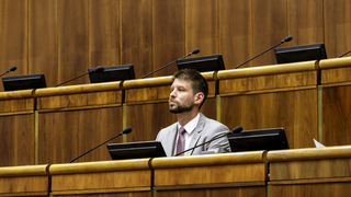 Blíži sa Šimečkovo odvolávanie, progresívci očakávajú v pléne výživnú debatu. Možné je všetko, tvrdí Smer