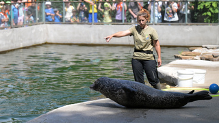 ZOO Košice