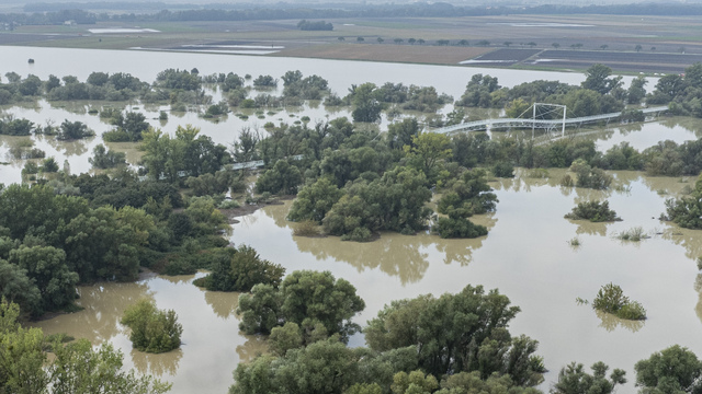 Zaplavené územia riekou Morava a Most Slobody pri Devínskej Novej Vsi v Bratislave.