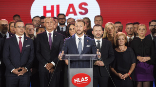 Hlas-SD